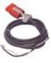 Picture of SB175 cord set with red plug., Picture 1