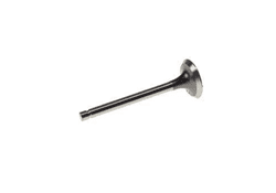 Picture of Exhaust valve